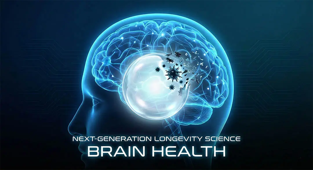 Metástasis celular y defensa neurológica que muestra la amenaza sistémica de P. gingivalis