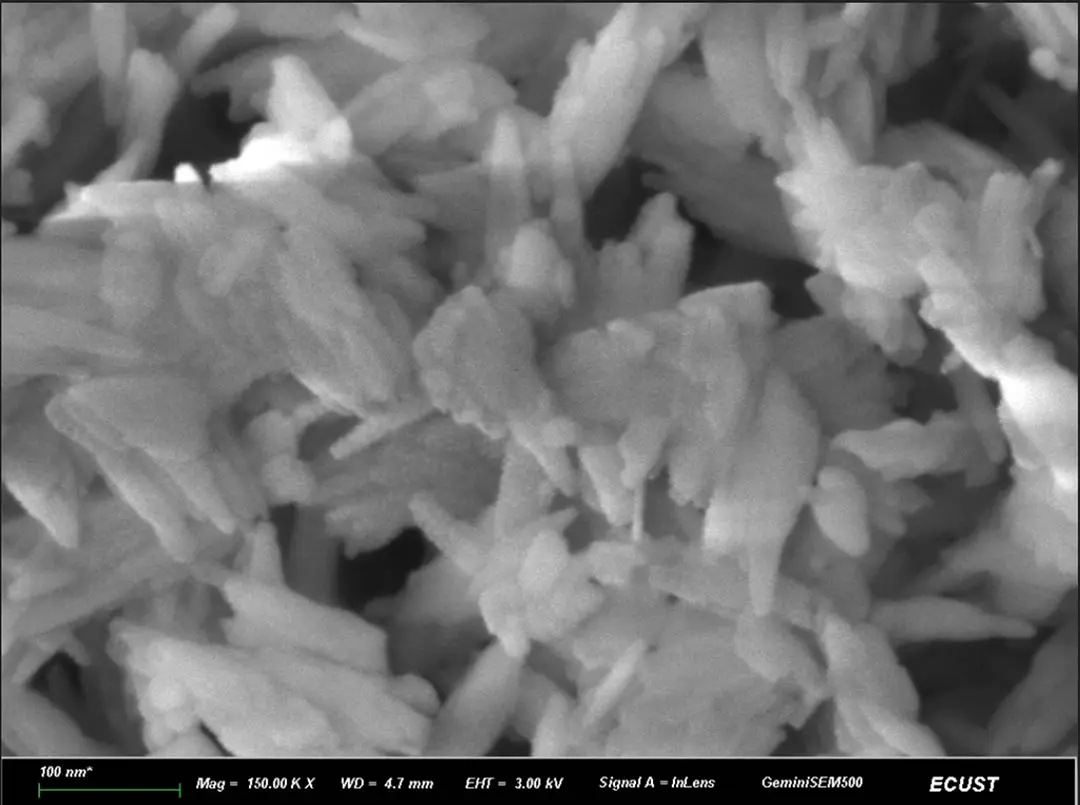 Données cliniques de la n-HA en bâtonnets par microscopie électronique à balayage